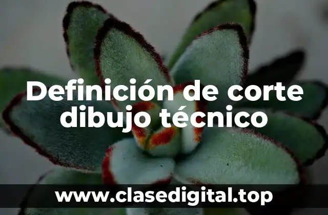 Definición técnica de corte dibujo técnico