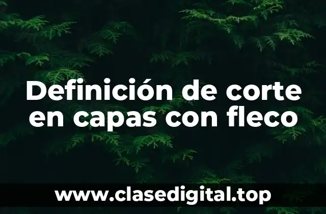 Definición de corte en capas con fleco