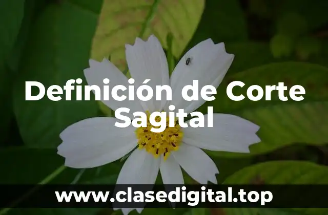 Definición de Corte Sagital