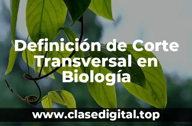 Definición de Corte Transversal en Biología