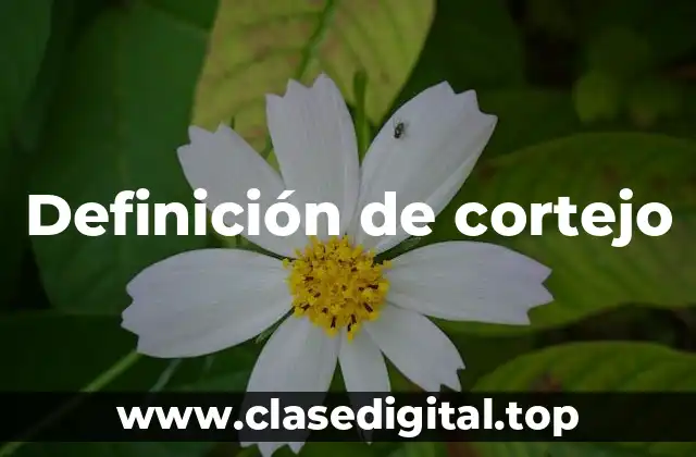 Definición de cortejo