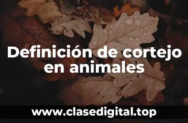 Definición de cortejo en animales