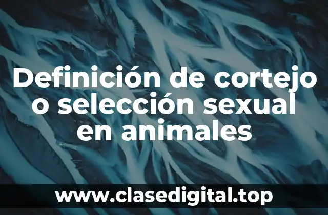 Definición de cortejo o selección sexual en animales