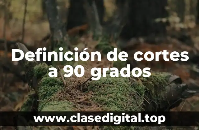 Definición de cortes a 90 grados