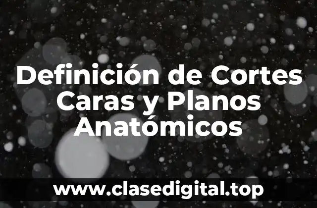 Definición de Cortes Caras y Planos Anatómicos