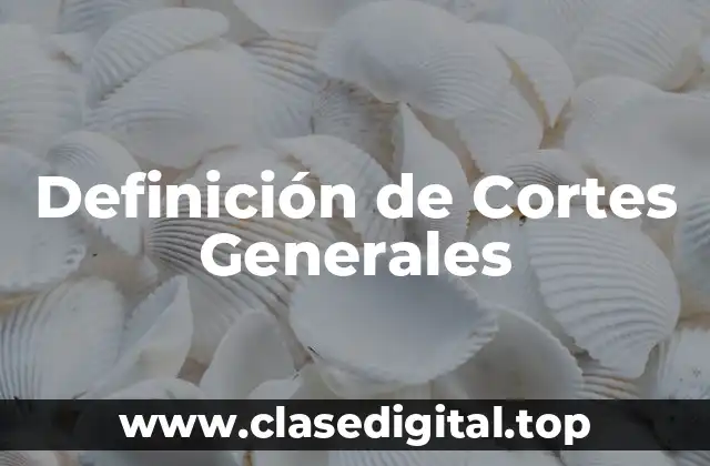 Definición de Cortes Generales