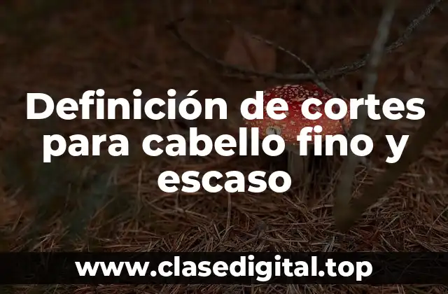 Definición de cortes para cabello fino y escaso