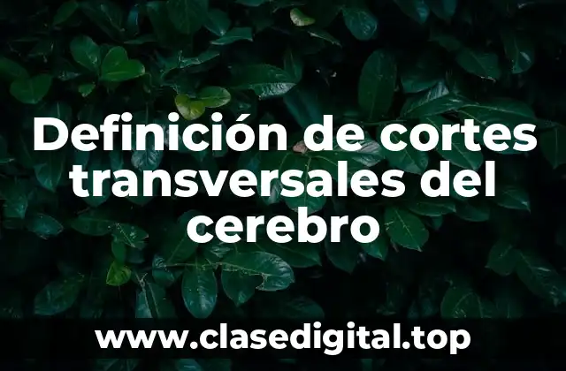 Definición de cortes transversales del cerebro