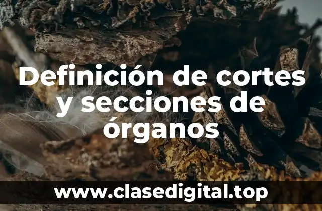 Definición de cortes y secciones de órganos