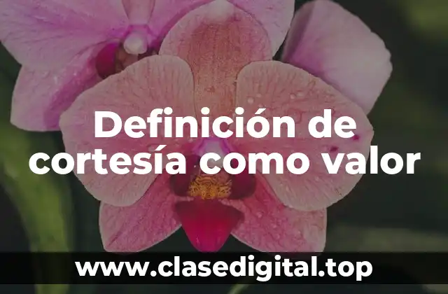 Definición de cortesía como valor