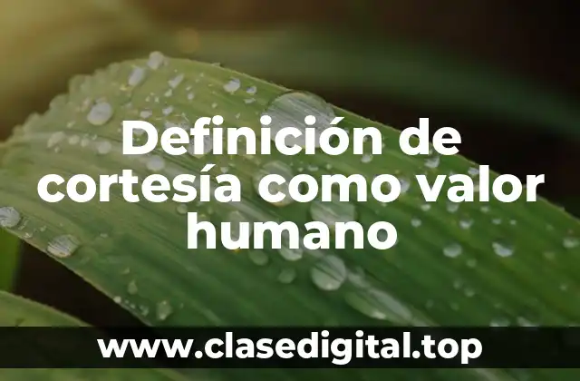 Definición de cortesía como valor humano