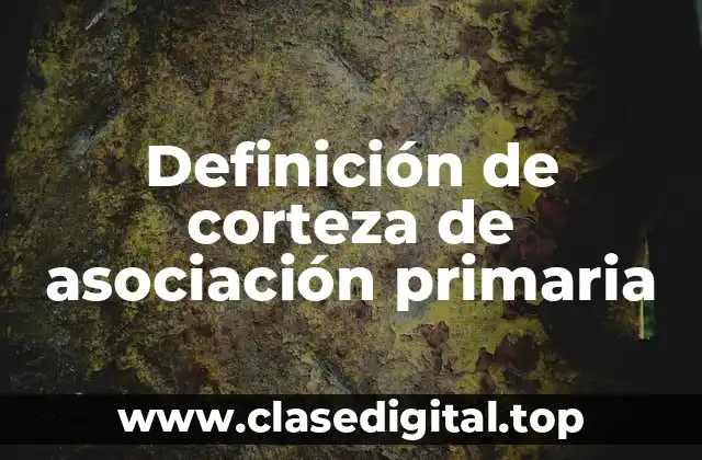 Definición de corteza de asociación primaria