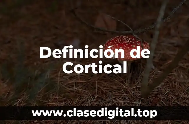Definición técnica de cortical