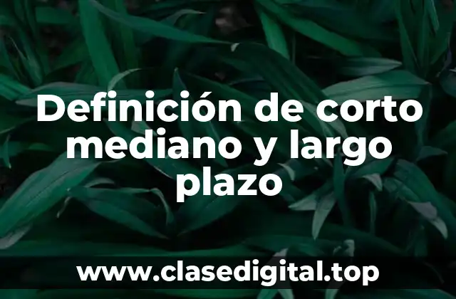 Definición de corto mediano y largo plazo