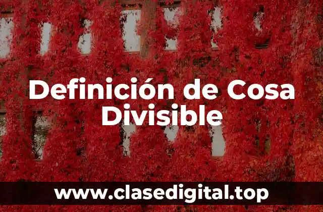 Definición de Cosa Divisible