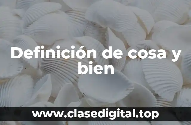 Definición de cosa y bien