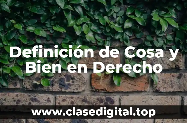 Definición Técnica de Cosa