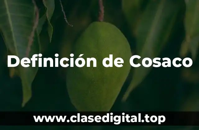 Definición de Cosaco