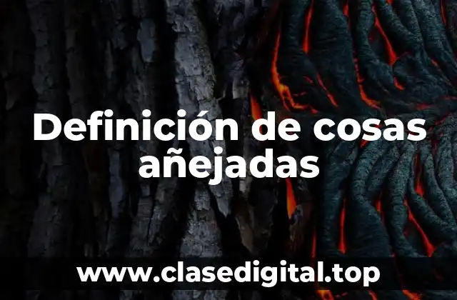 Definición de cosas añejadas