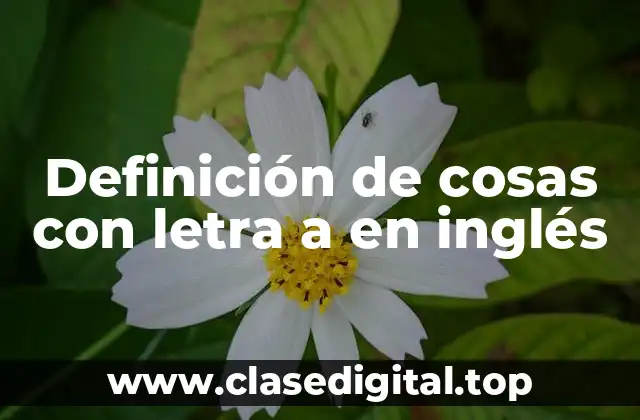 Definición de cosas con letra a en inglés