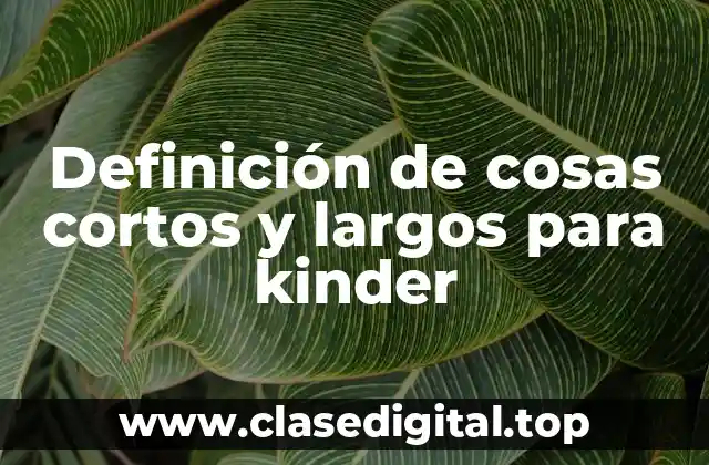 Ejemplos de cosas cortos y largos