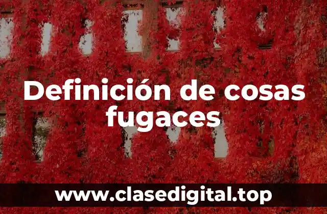 Definición de cosas fugaces