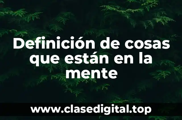 Ejemplos de cosas que están en la mente