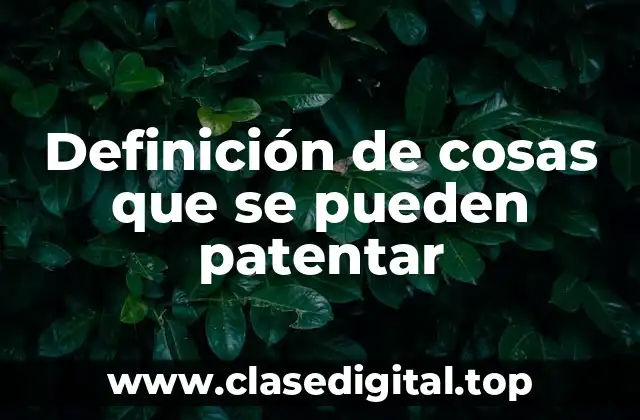 Definición de cosas que se pueden patentar