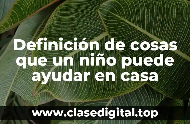 Definición de cosas que un niño puede ayudar en casa