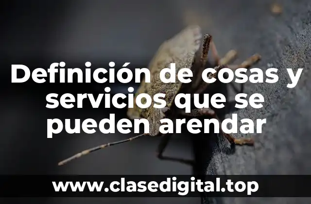 Definición de cosas y servicios que se pueden arendar