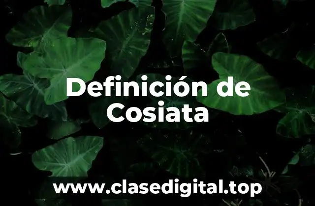Definición de Cosiata
