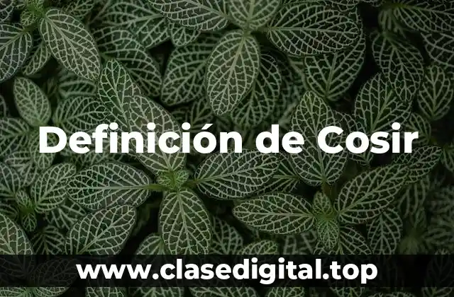 Definición de Cosir