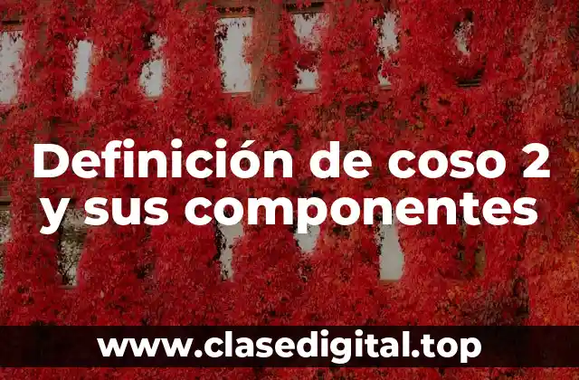 Definición de coso 2 y sus componentes