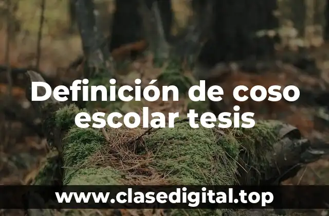 Definición de coso escolar tesis