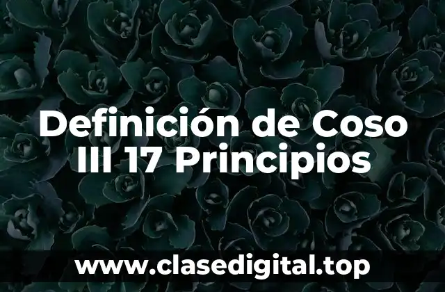 Definición de Coso III 17 Principios