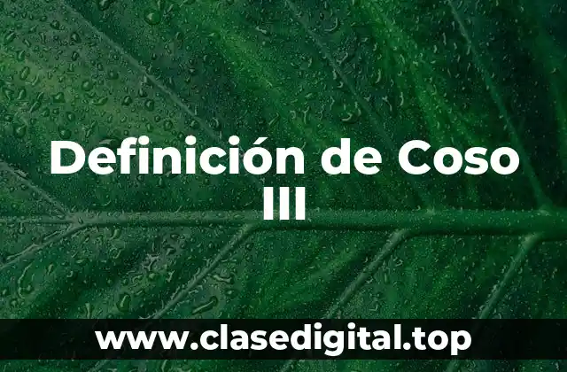 Definición de Coso III