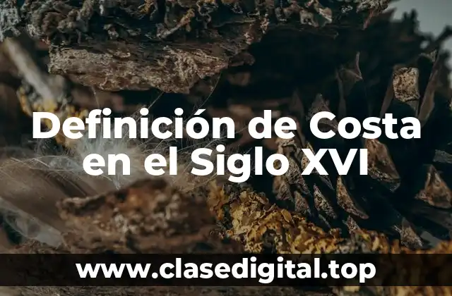 Definición de Costa en el Siglo XVI