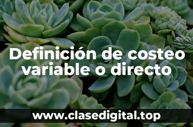 Definición de costeo variable o directo