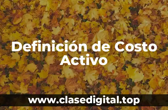 Definición técnica de costo activo