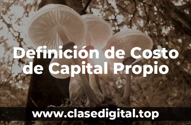 Definición de Costo de Capital Propio