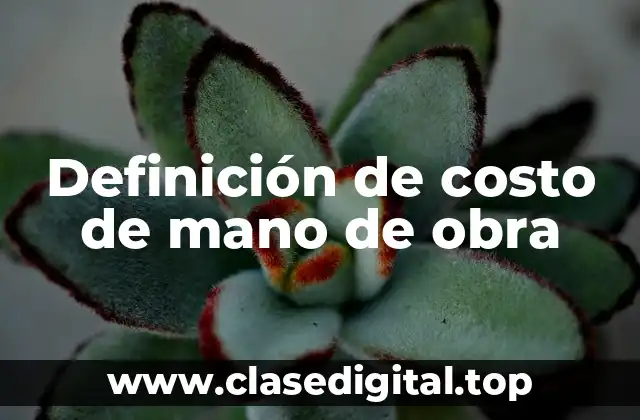 Definición de costo de mano de obra