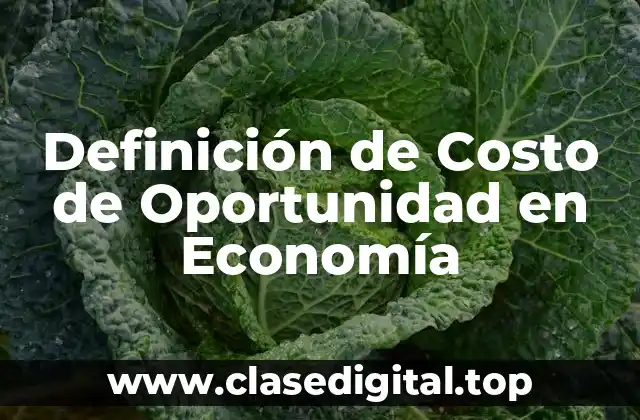 Definición de Costo de Oportunidad en Economía