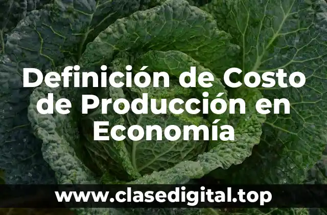 Definición de Costo de Producción en Economía