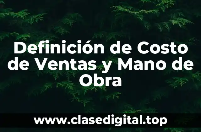 Definición de Costo de Ventas y Mano de Obra