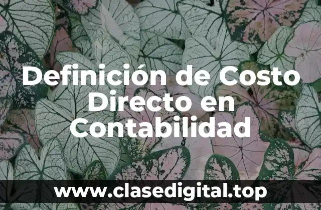 Definición de Costo Directo en Contabilidad