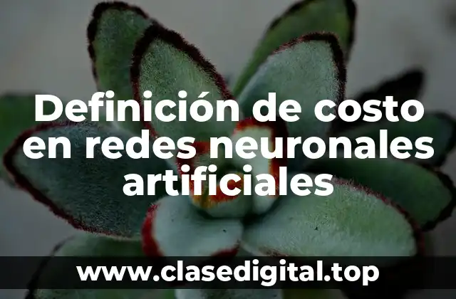 Definición de costo en redes neuronales artificiales