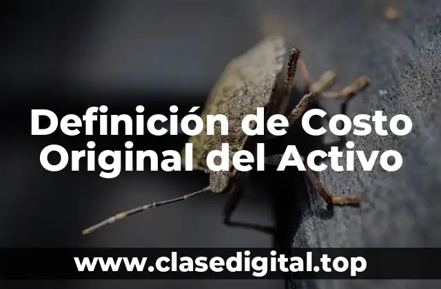 Definición de Costo Original del Activo