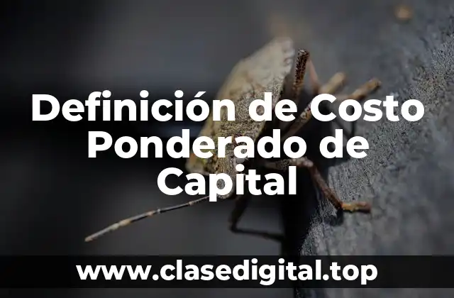 Definición de Costo Ponderado de Capital