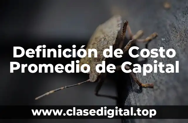 Definición de Costo Promedio de Capital