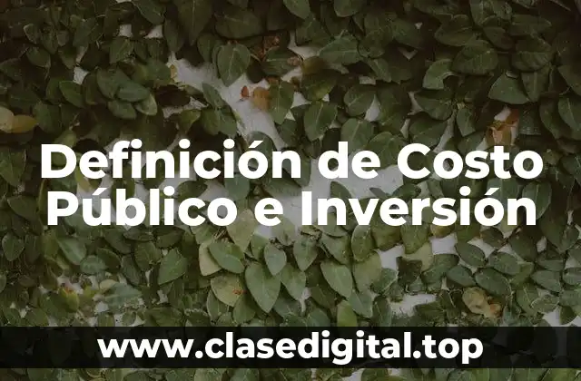 Definición de Costo Público e Inversión